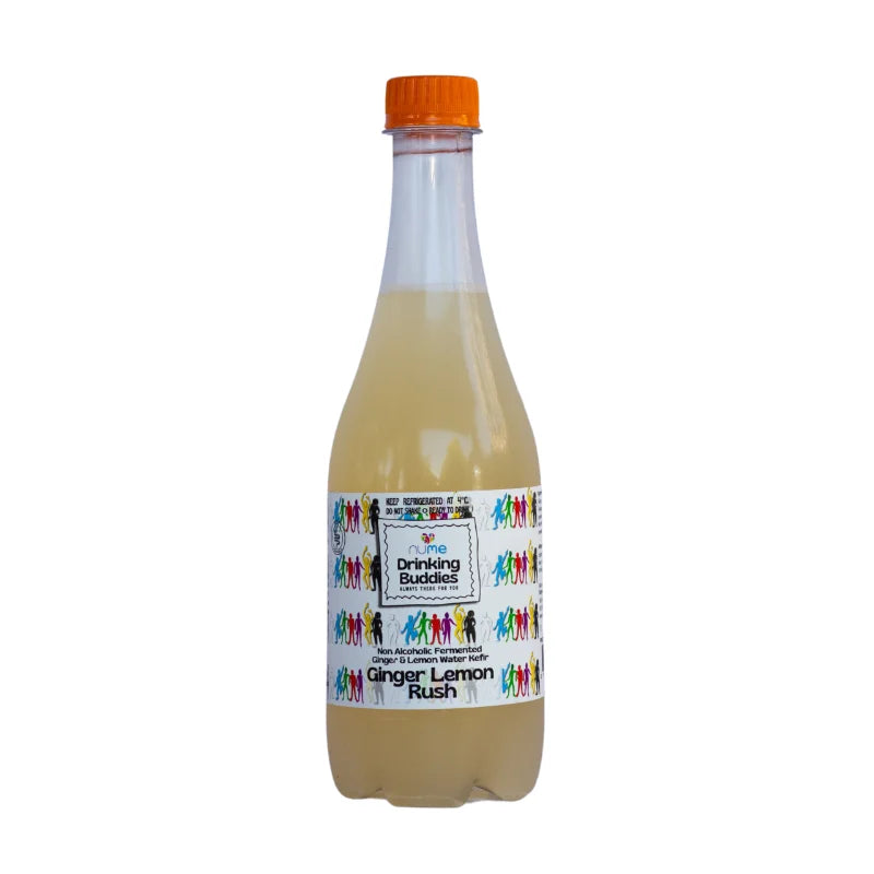 Ginger Lemon Rush Water Kefir 500ml fermented drink from The Digestive Collective