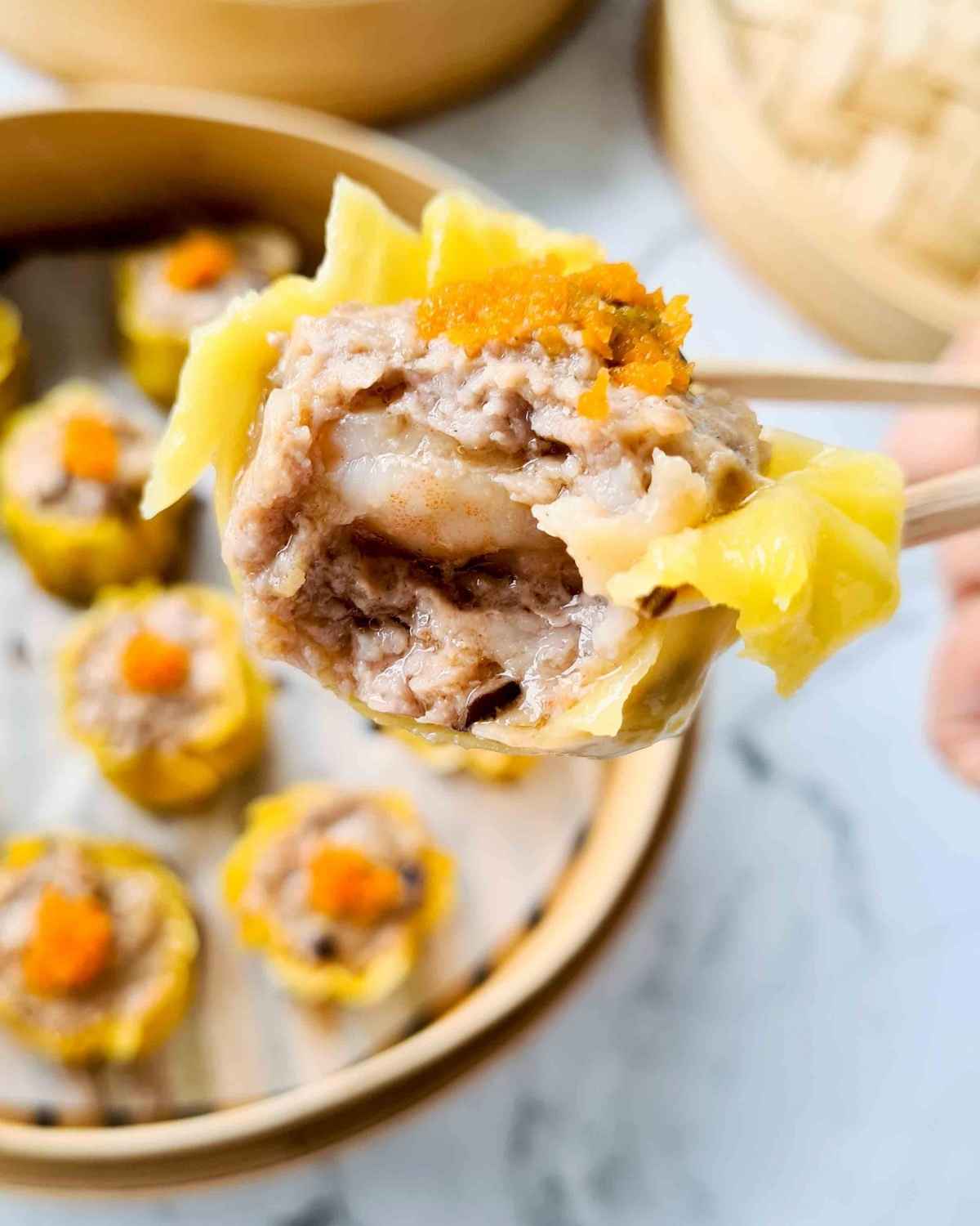 Dim Sum - Wontons, Hargow & Shu Mai