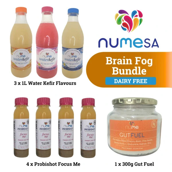 Brain Fog Bundle (Non-Dairy) fermented food from The Digestive Collective