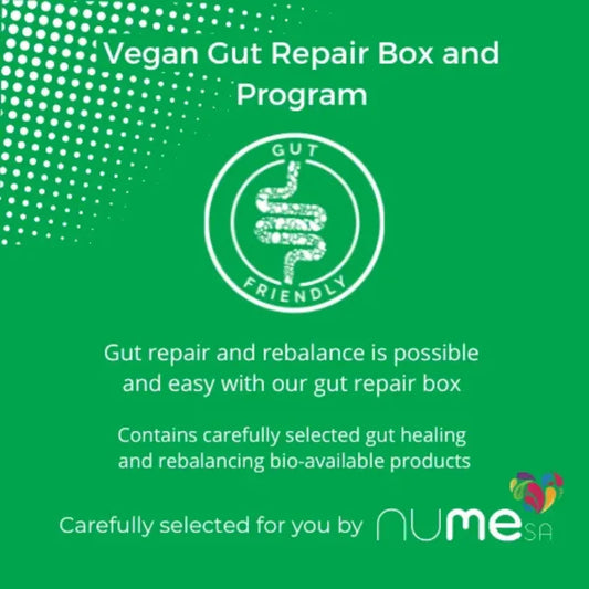 Vegan Gut Repair Box fermented food from The Digestive Collective