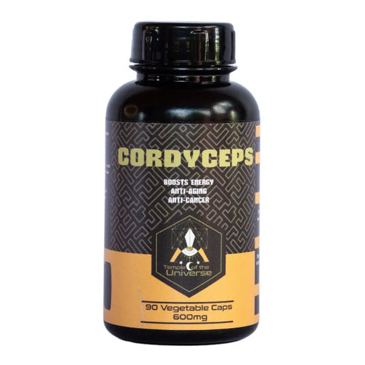 Cordyceps Capsules 600mg (90’s) wellness supplement from The Digestive Collective