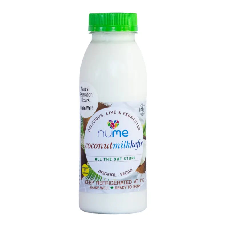 Coconut Milk Kefir 300ml fermented milk kefir from The Digestive Collective