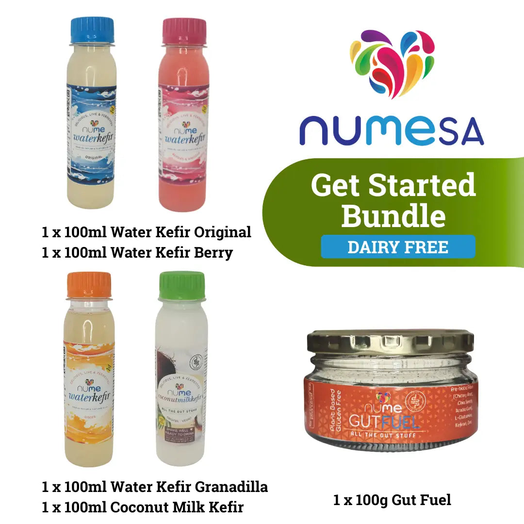 Get Started Bundle (Non-Dairy) fermented food from The Digestive Collective