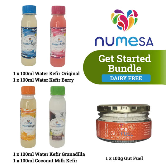Get Started Bundle (Non-Dairy) fermented food from The Digestive Collective