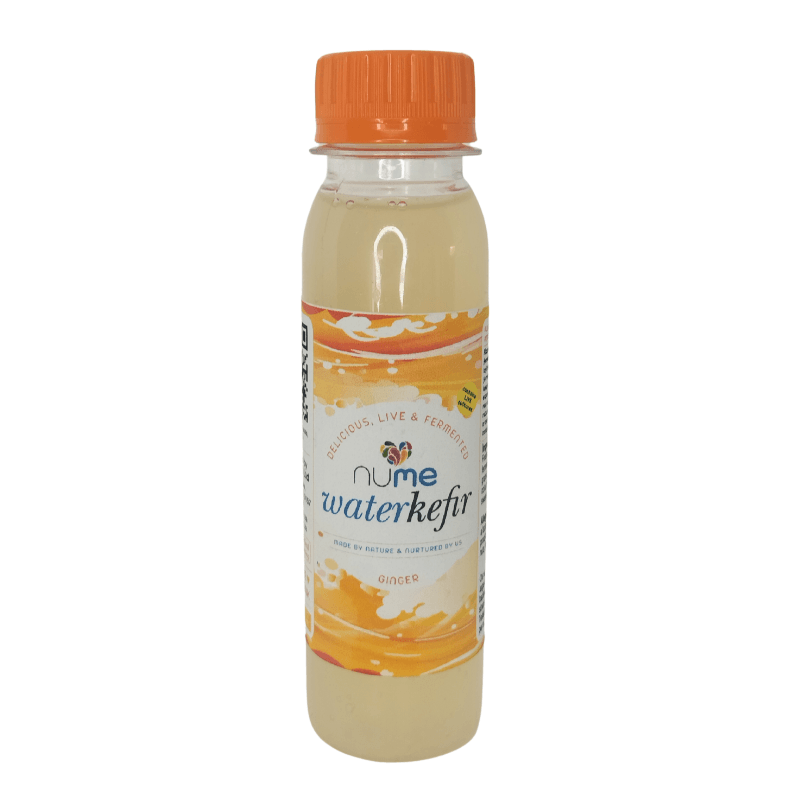 Ginger Water Kefir 100ml fermented water kefir from The Digestive Collective